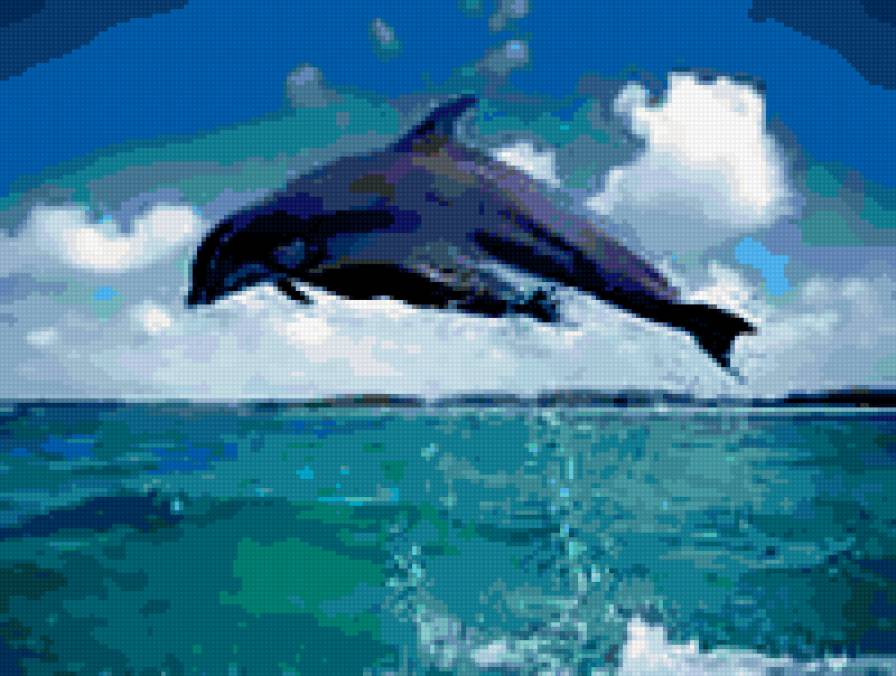 Дельфин - животные - предпросмотр