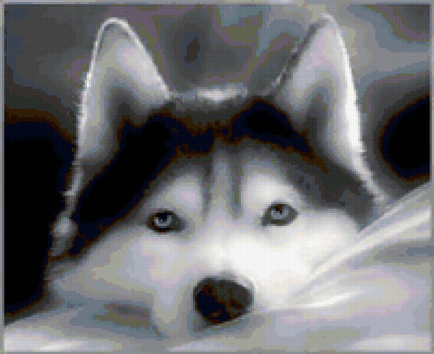 №347556 - предпросмотр