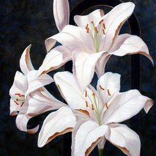 Схема вышивки «№347562»