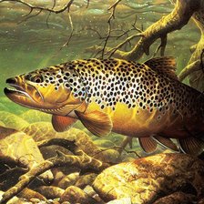 Схема вышивки «№347652»