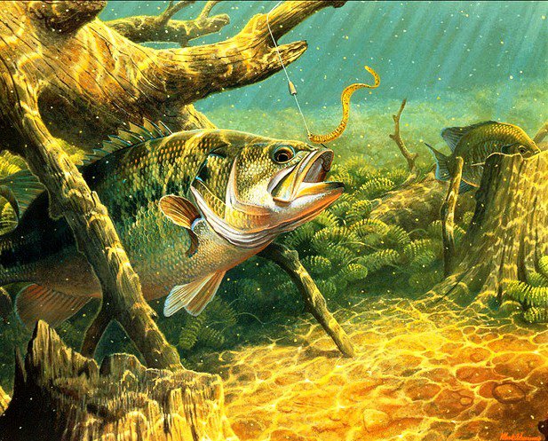 №347659 - оригинал