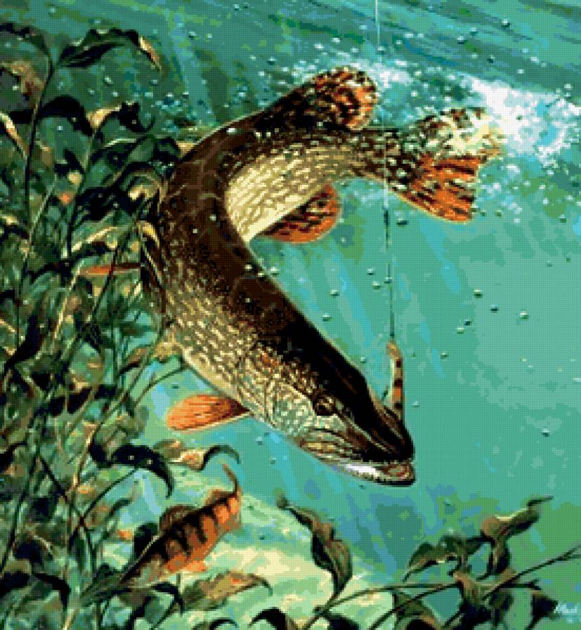 щука - вода, речка, рыба - предпросмотр