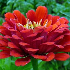 Схема вышивки «№347849»