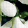 Предпросмотр схемы вышивки «подснежники» (№347850)