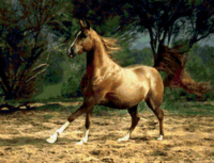 лошадка - природа, лошади - предпросмотр