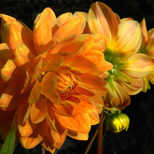 Схема вышивки «№347921»