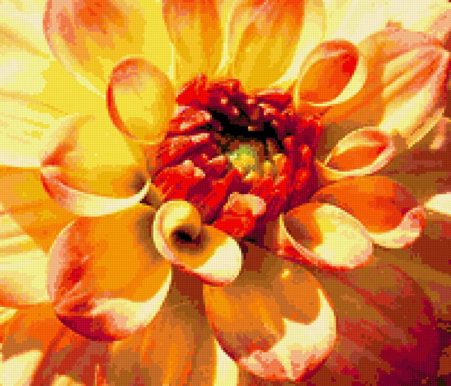 №347982 - цветы, георгины - предпросмотр