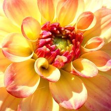 Схема вышивки «№347982»