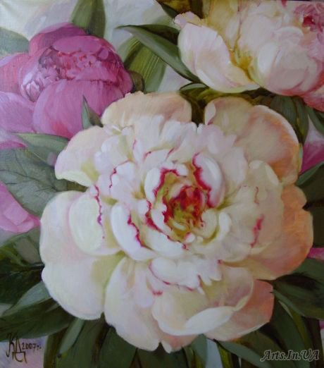 пионы-25 - оригинал