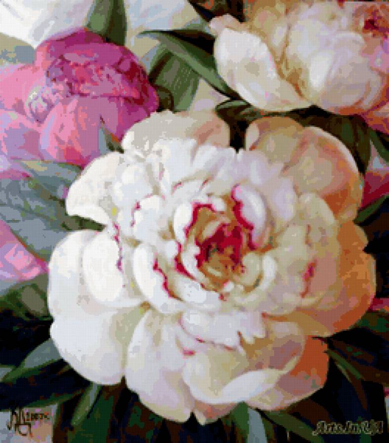 пионы-25 - предпросмотр