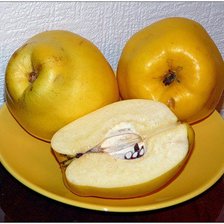 Схема вышивки «Айва на желтой тарелке»