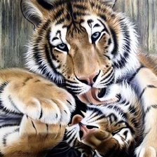 Схема вышивки «тигры»