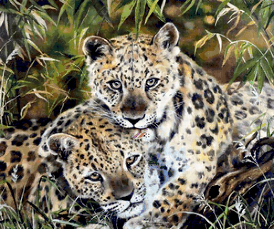 гепарды - животные - предпросмотр