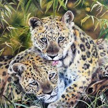 Схема вышивки «гепарды»