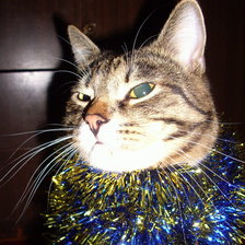 Схема вышивки «Муська»