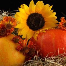 Схема вышивки «натюрморт»