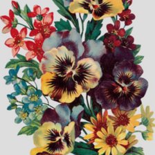 букет цветов