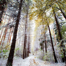 Схема вышивки «ивантеевка»