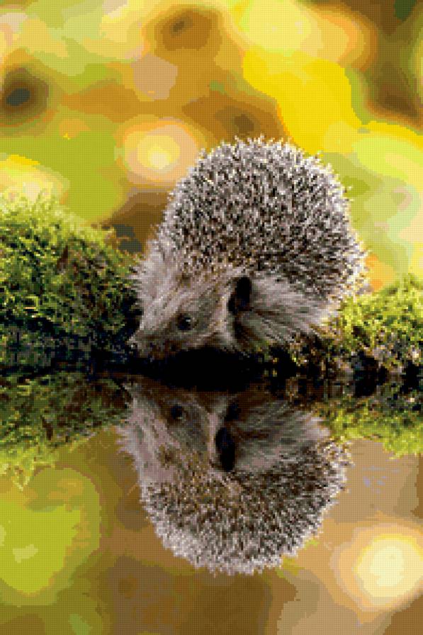 №348682 - предпросмотр