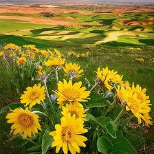 Схема вышивки «№348698»