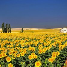 Схема вышивки «№348705»