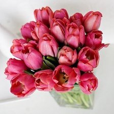 Схема вышивки «№348718»