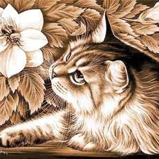 Схема вышивки «№348794»