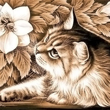 Схема вышивки «№348797»