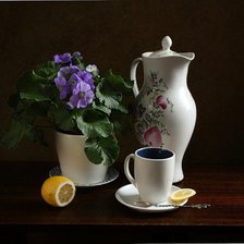 Схема вышивки «№348870»