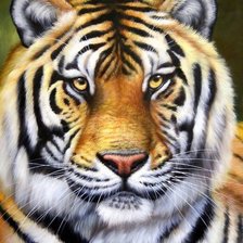 Схема вышивки «тигр»