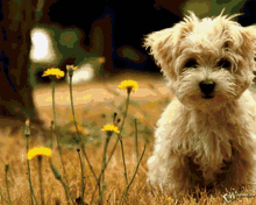 собачка - предпросмотр