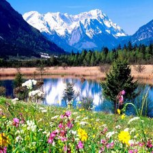 Схема вышивки «пейзаж»