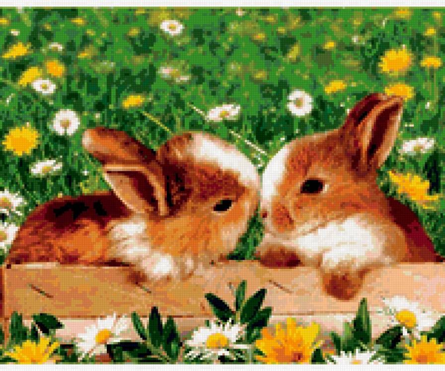 кролики - предпросмотр