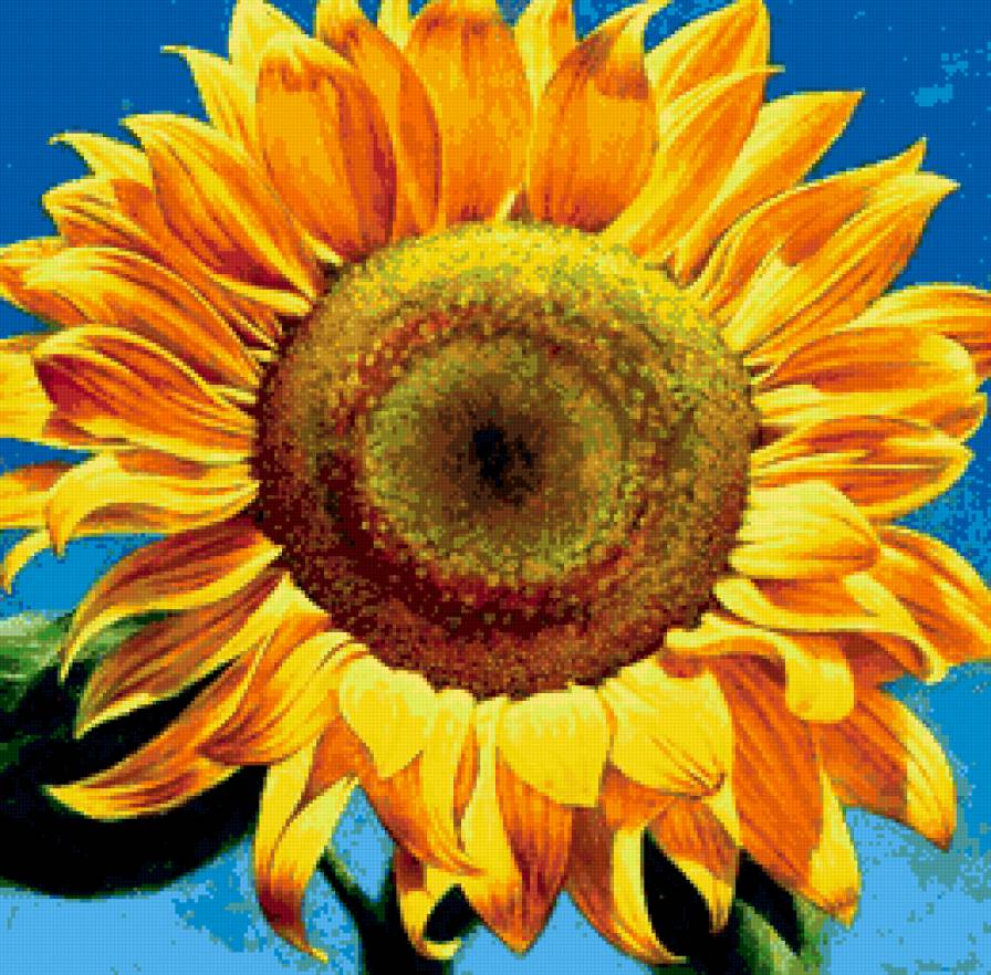 подсолнух - предпросмотр