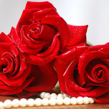 Схема вышивки «ах эти розы!»