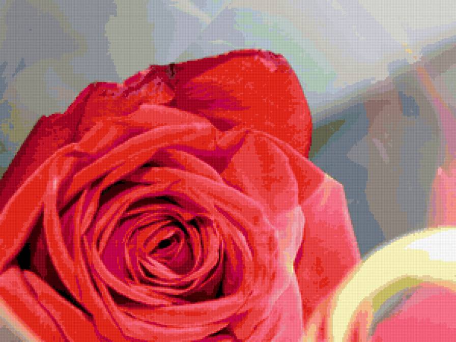 №349291 - предпросмотр