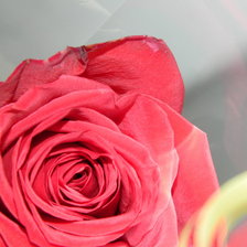 Схема вышивки «№349291»