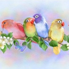 Схема вышивки «Попугайчики»