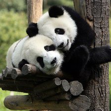 Схема вышивки «Панды»