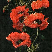 Схема вышивки «Маки»