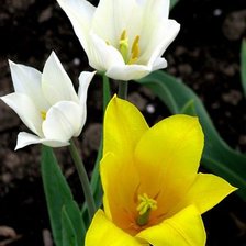 Схема вышивки «№349460»