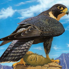 Схема вышивки «№349461»