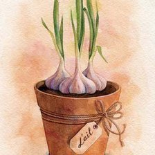 Схема вышивки «Чеснок»