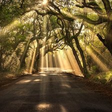 Схема вышивки «лучи солнца»