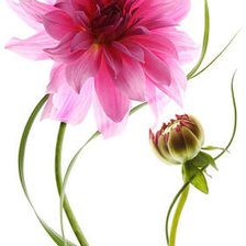 Схема вышивки «№349694»