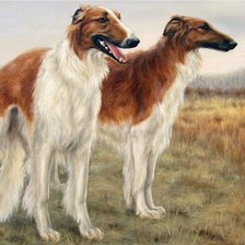 Схема вышивки «Русская Борзая»