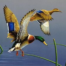 Схема вышивки «№349759»