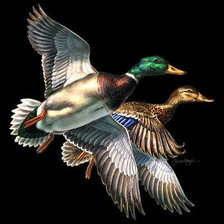 Схема вышивки «№349781»