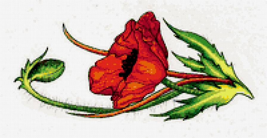 мак - цветы, скатерть, маки, салфетка - предпросмотр