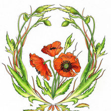 Схема вышивки «маки»